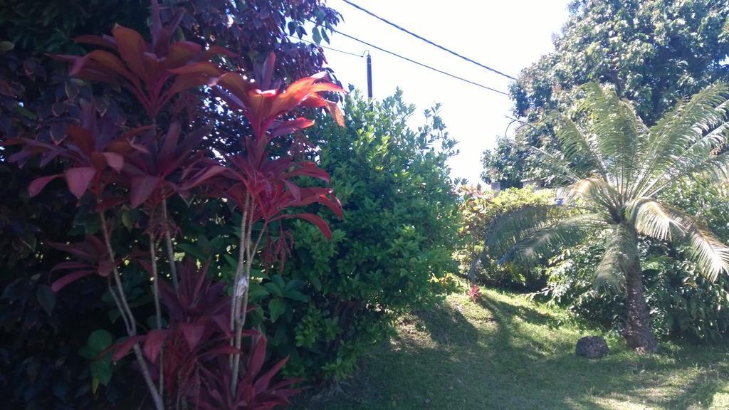 Les Bungalows Du Mont-Auban Sainte-Clotilde Exterior foto