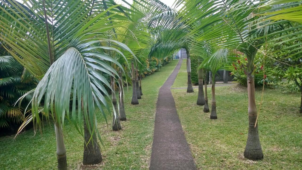 Les Bungalows Du Mont-Auban Sainte-Clotilde Exterior foto